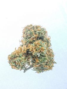 a cannabis flower