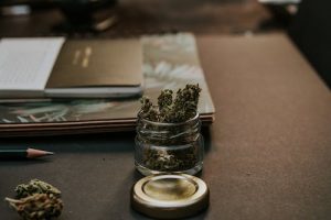 cannabis flowers in a jar